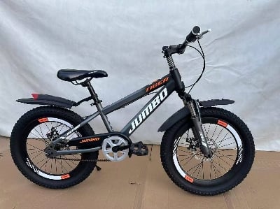 Picture of 20 Inch Mountain Bicycle with Hydraulic Brake, Front Suspension, Mudguard & Chain Guard – Durable Kids & Teen Cycle
