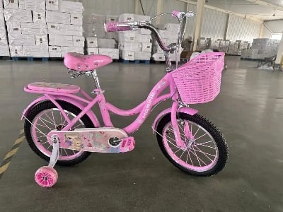 Picture of 20 Inch Ladies / Girls Bicycle with Back Seat Carrier, Front Basket, Full Wheel Mudguard & Chain Protector – Stylish & Safe Female Cycle