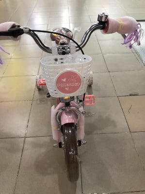 Picture of 12 Inch Ladies / Girls Bicycle with Back Seat Carrier, Front Basket, Full Wheel Mudguard & Chain Protector – Stylish & Safe Female Cycle