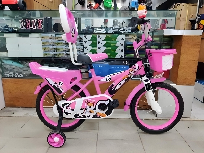 Picture of 16 Inch Boys Bicycle with Back Seat Carrier, Front Basket, Full Wheel Mudguard & Chain Protector – Durable & Safe City Cycle for Kids and Teenagers