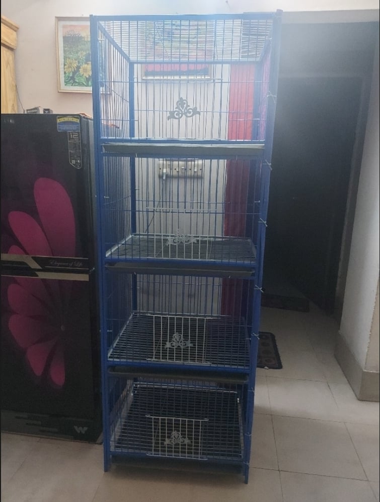 Picture of 4 Floor Nut System Folding Cage Made by 13no Wire Size 24/18/14 inchi Cash On Delivery Available