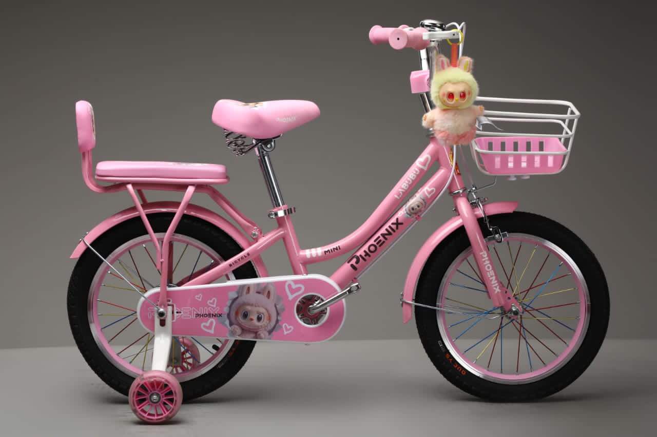 Picture of 16 Inch Ladies / Girls Bicycle with Back Seat Carrier, Front Basket, Full Wheel Mudguard & Chain Protector – Stylish & Safe Female Cycle