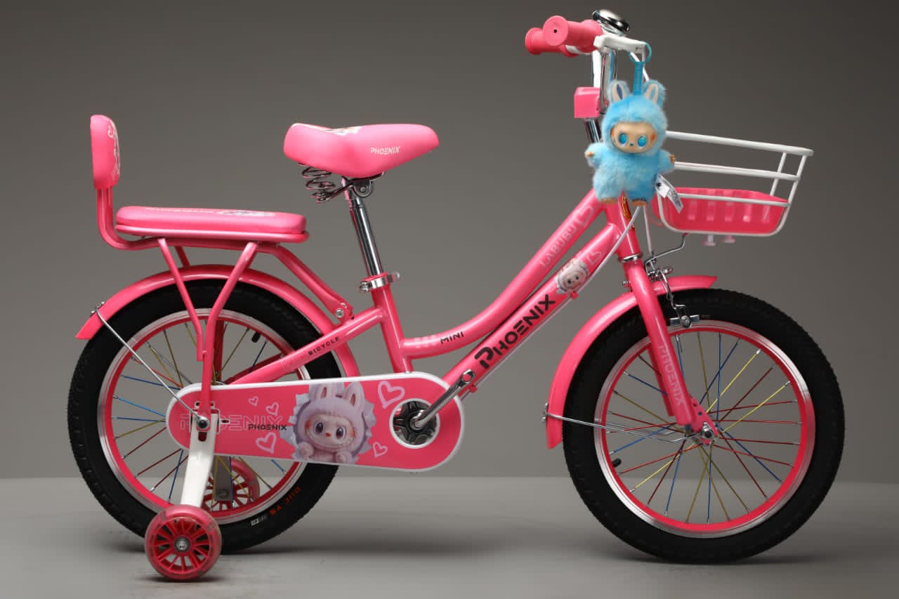 Picture of 12 Inch Ladies / Girls Bicycle with Back Seat Carrier, Front Basket, Full Wheel Mudguard & Chain Protector – Stylish & Safe Female Cycle