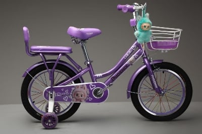 Picture of 12 Inch Ladies / Girls Bicycle with Back Seat Carrier, Front Basket, Full Wheel Mudguard & Chain Protector – Stylish & Safe Female Cycle