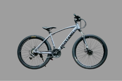 Picture of 26 inchi 21 Speed Gear Cycle With Suspension Lockout fork High Rim Coloring Fat Spoke With Shimano Parts