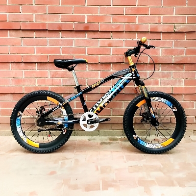 Picture of 20'' Phoenix Double Disc Brake With Fat Tyte Cycle - Enjoy Smooth And Reliable Braking Performance With The 20'' Phoenix Disc Brake Cycle Cash On Delivery Available