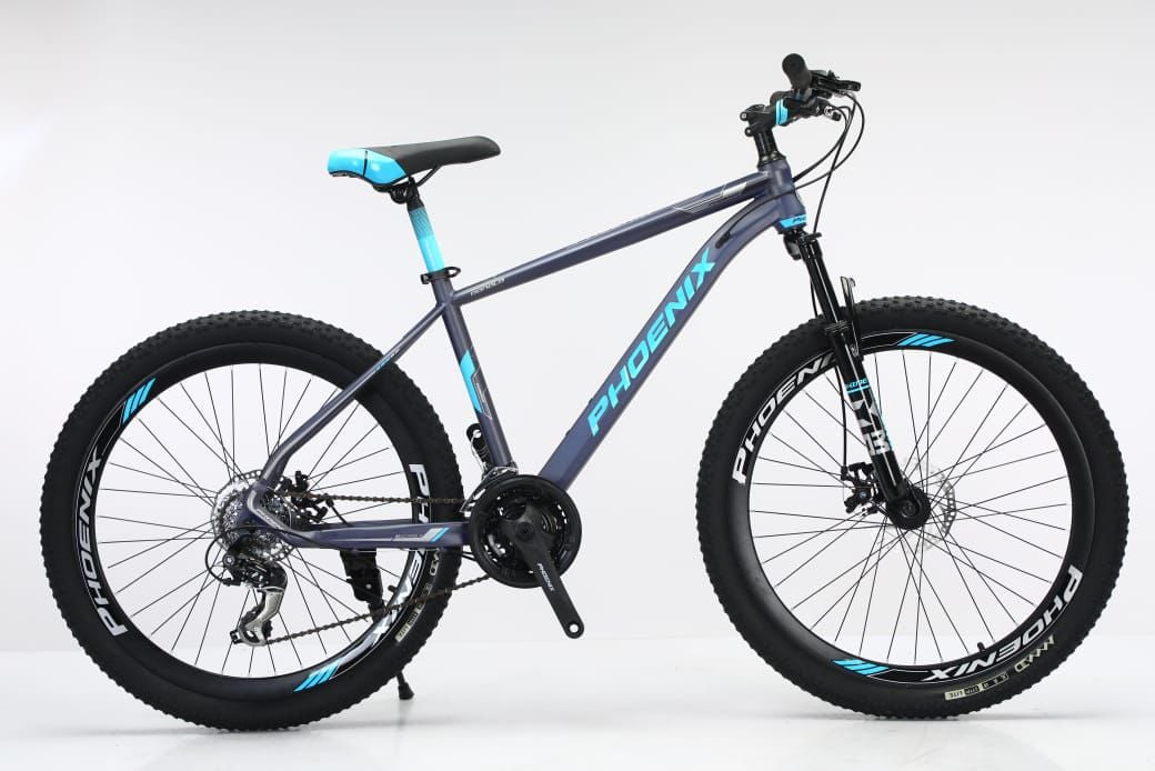 Picture of Phoenix Donald 24 inchi 21 Speed Gear Cycle With Suspension Lockout fork High Rim Coloring Fat Spoke With Shimano Parts