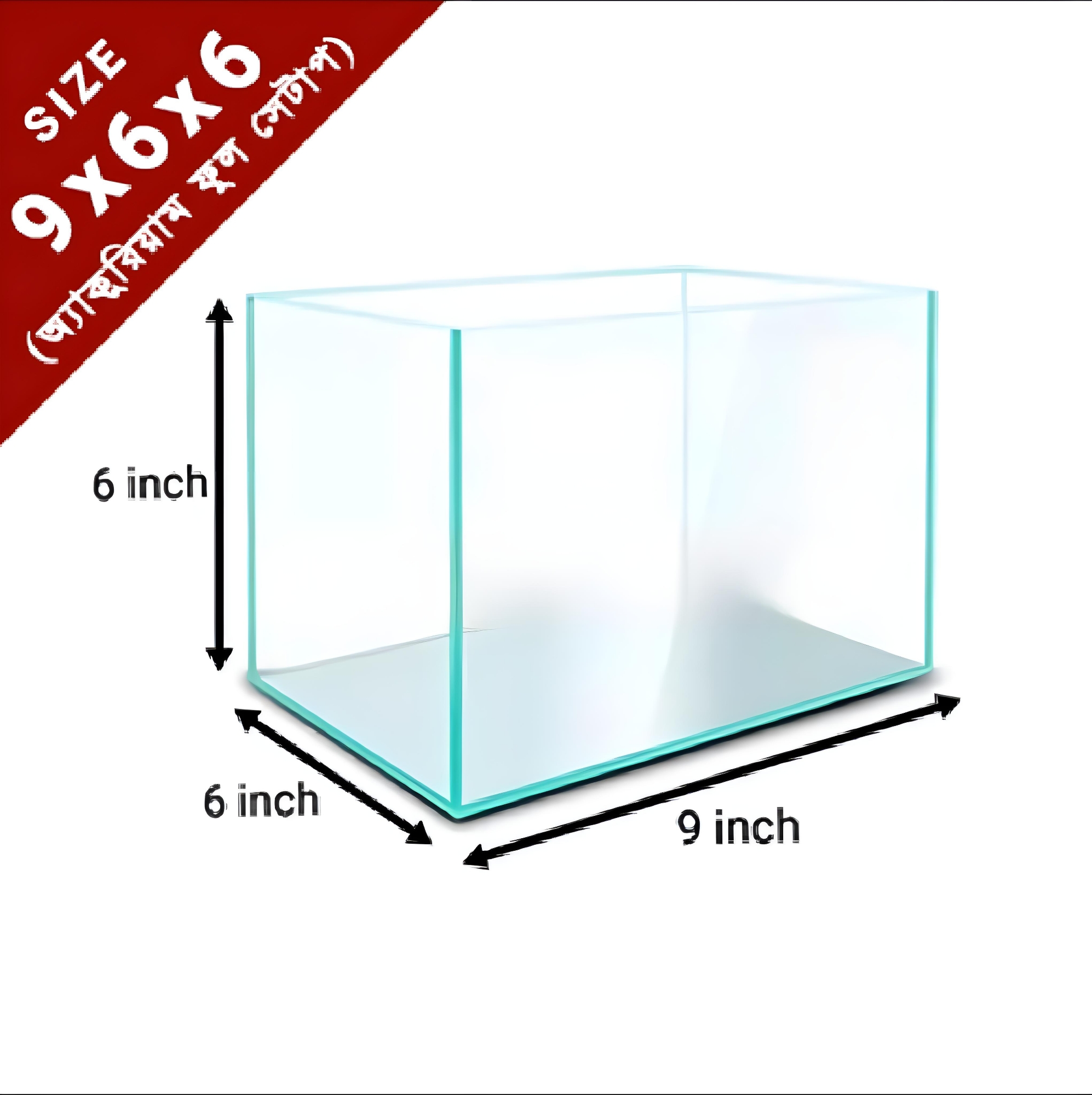 Picture of Glass Made Deshi Aquarium For Fish With All Accessories You Don't Have To Buy Anything (Small Size 9x6x6 Inches)