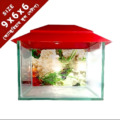 Picture of Glass Made Deshi Aquarium For Fish With All Accessories You Don't Have To Buy Anything (Small Size 9x6x6 Inches)