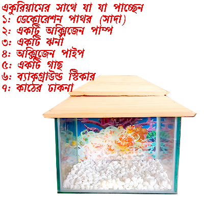 Picture of Glass Made Deshi Aquarium For Fish With All Accessories You Don't Have To Buy Anything (Small Size 9x6x6 Inches)