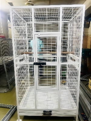 Picture of NeoStyle 153cm Large Bird Cage, Parrot Cage Parakeet Cage Bird Villa Macaw Cage with Play Top and Rolling Stand,Large Space Cage for Large Parrots