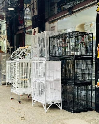 Picture of Large Family Bird Temp Cage With 4 Wheels , Luxury Pet Parrot Cage Ornamental Cage Metal Cage Transparent Glass Cage Door Feeding Cage Birds/Cages