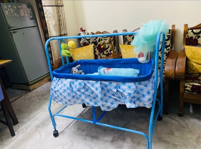 Picture of New Born Baby Dream Cozy Nest Cradle with Mosquito Net - Multicolor  Cash On Delivery Available