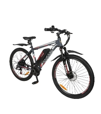Picture of Duranta Electric Bike With Hub Motor & Digital Display E-Rider-101