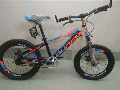 Picture of 20'' phoenix Disc brake cycle