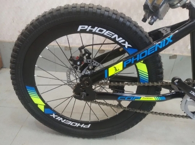 Picture of 20'' phoenix Disc brake cycle
