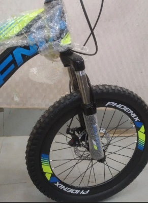 Picture of 20'' phoenix Disc brake cycle