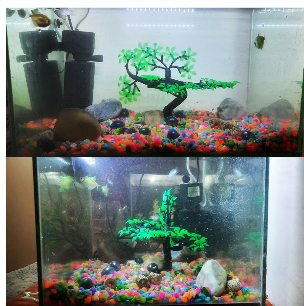 Picture of Aquarium Artificial Plastic Plant - (1 Pc TO 5 Pcs) - Artificial Green Bonsai Tree Plant Ornament for Aquarium Fish Tank Decoration | Create Natural Environment in Aquariums |