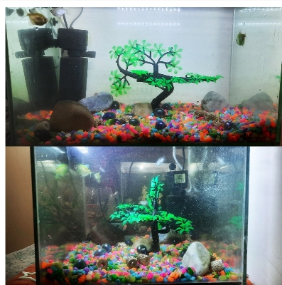 Picture of Aquarium Artificial Plastic Plant - (1 Pc TO 5 Pcs) - Artificial Green Bonsai Tree Plant Ornament for Aquarium Fish Tank Decoration | Create Natural Environment in Aquariums |