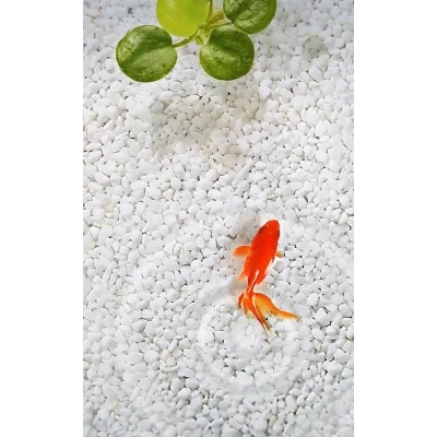 Picture of Aquarium White Stone For Decoration 10KG