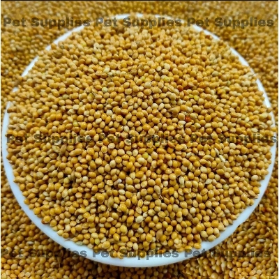 Picture of Yellow Millet For Birds -500g