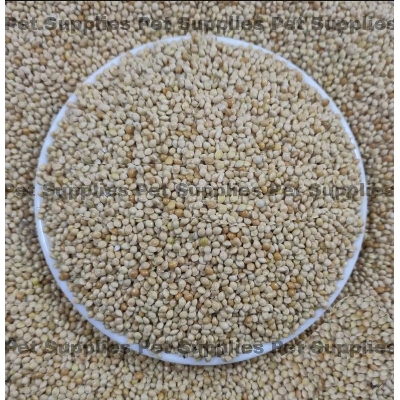 Picture of White Millet For Birds -500g