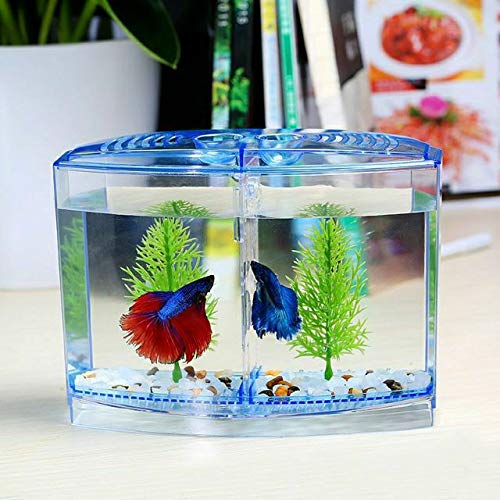 Picture of Acrylic Small Mini Fish Betta Double House Fish Breeding Box Tank Hatchery Incubator Aquarium Isolation Box for Baby Shrimp Guppy Aquarium Tank  (1 L)