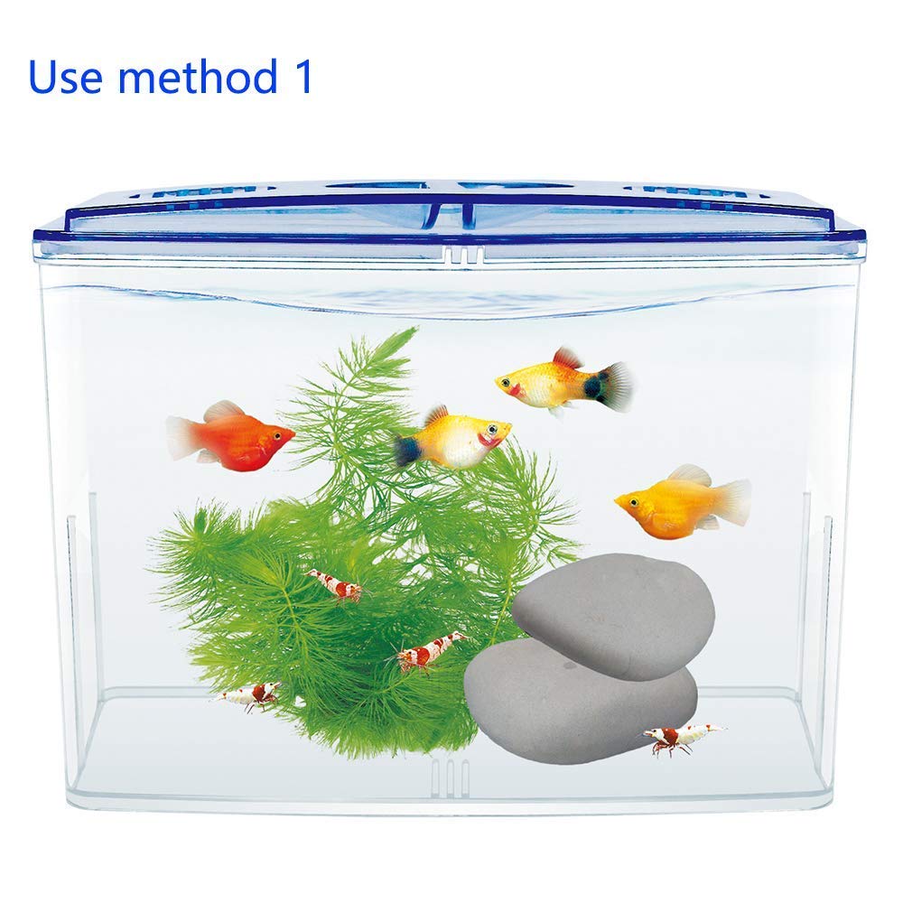 Picture of Acrylic Small Mini Fish Betta Double House Fish Breeding Box Tank Hatchery Incubator Aquarium Isolation Box for Baby Shrimp Guppy Aquarium Tank  (1 L)