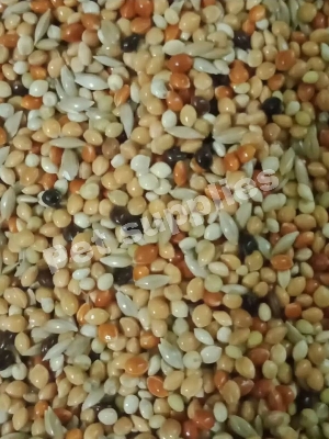 Picture of White Millet, Red Millet Millet, Yellow Millet, Black Millet Mix Bird Food ৪ রকম মিলেট মিক্স খাবার ২.৫ কেজি