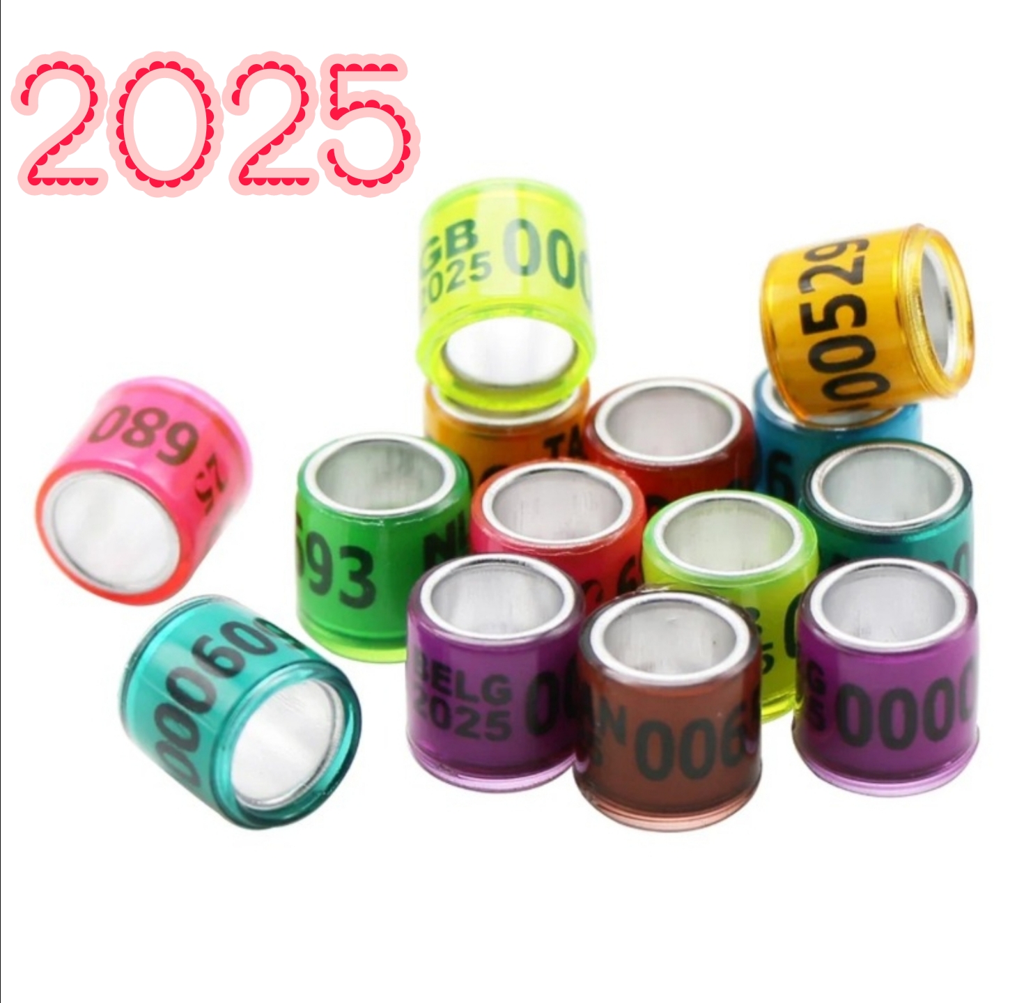 Picture of 2025 Multicolor Racer Pigeon Foot Ring With Word Earrings Quality Durable Bird Ring Pigeon Racing Rings Bird Training Tool
