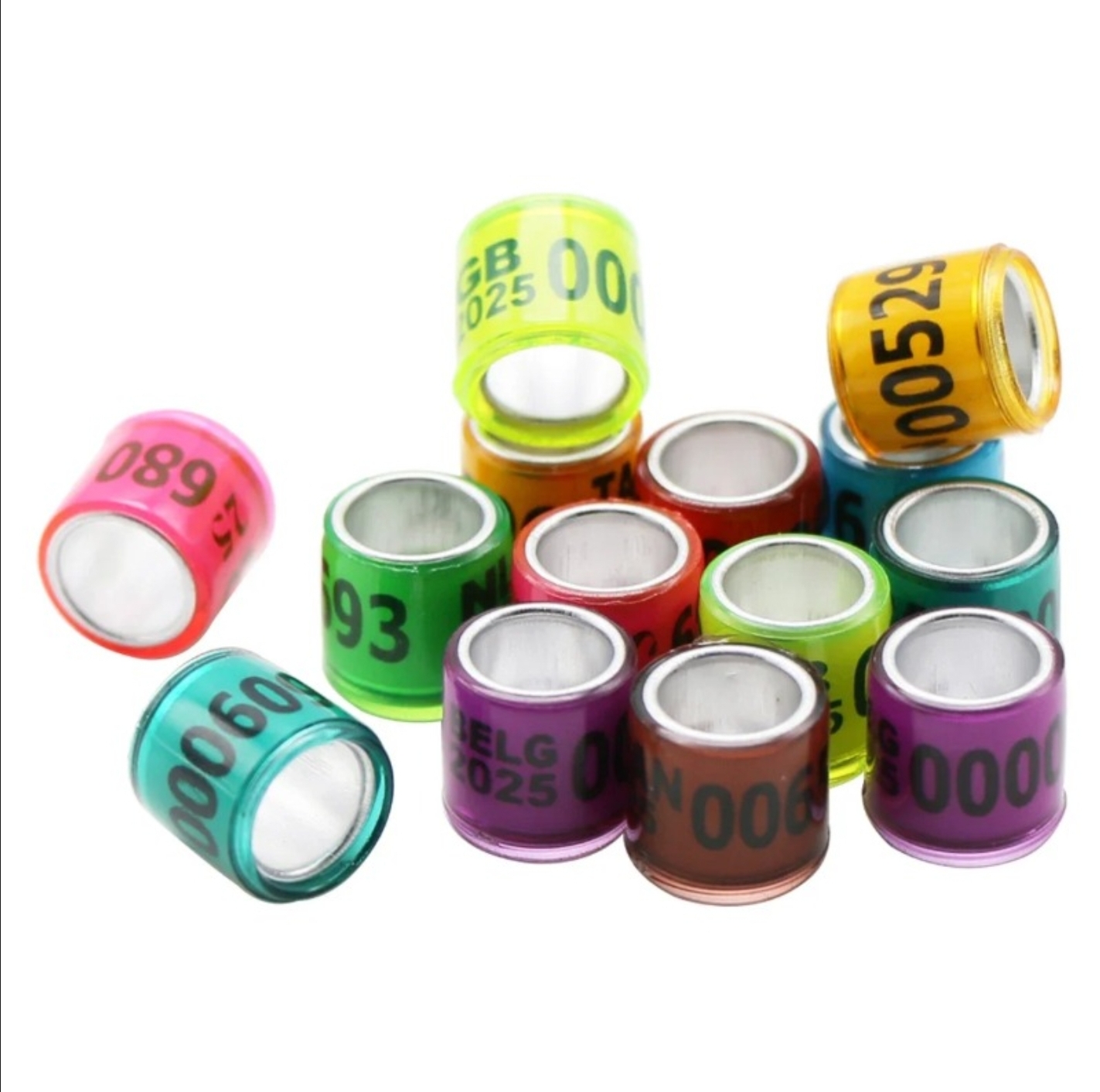 Picture of 2025 Multicolor Racer Pigeon Foot Ring With Word Earrings Quality Durable Bird Ring Pigeon Racing Rings Bird Training Tool