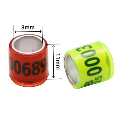 Picture of 2025 Multicolor Racer Pigeon Foot Ring With Word Earrings Quality Durable Bird Ring Pigeon Racing Rings Bird Training Tool