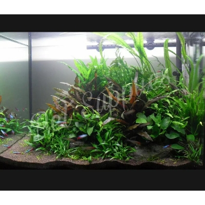 Picture of Complete Freshwater Planted Aquarium Substrate Soil 500 ML