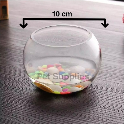 Picture of Fighter jar Mini Fish Aquarium