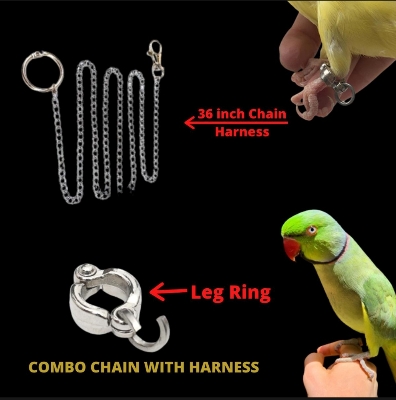 Picture of Pet Bird Foot Chain 3 feet long With Ring Leash Parrot Stainless Steel 304 Anklet Ring