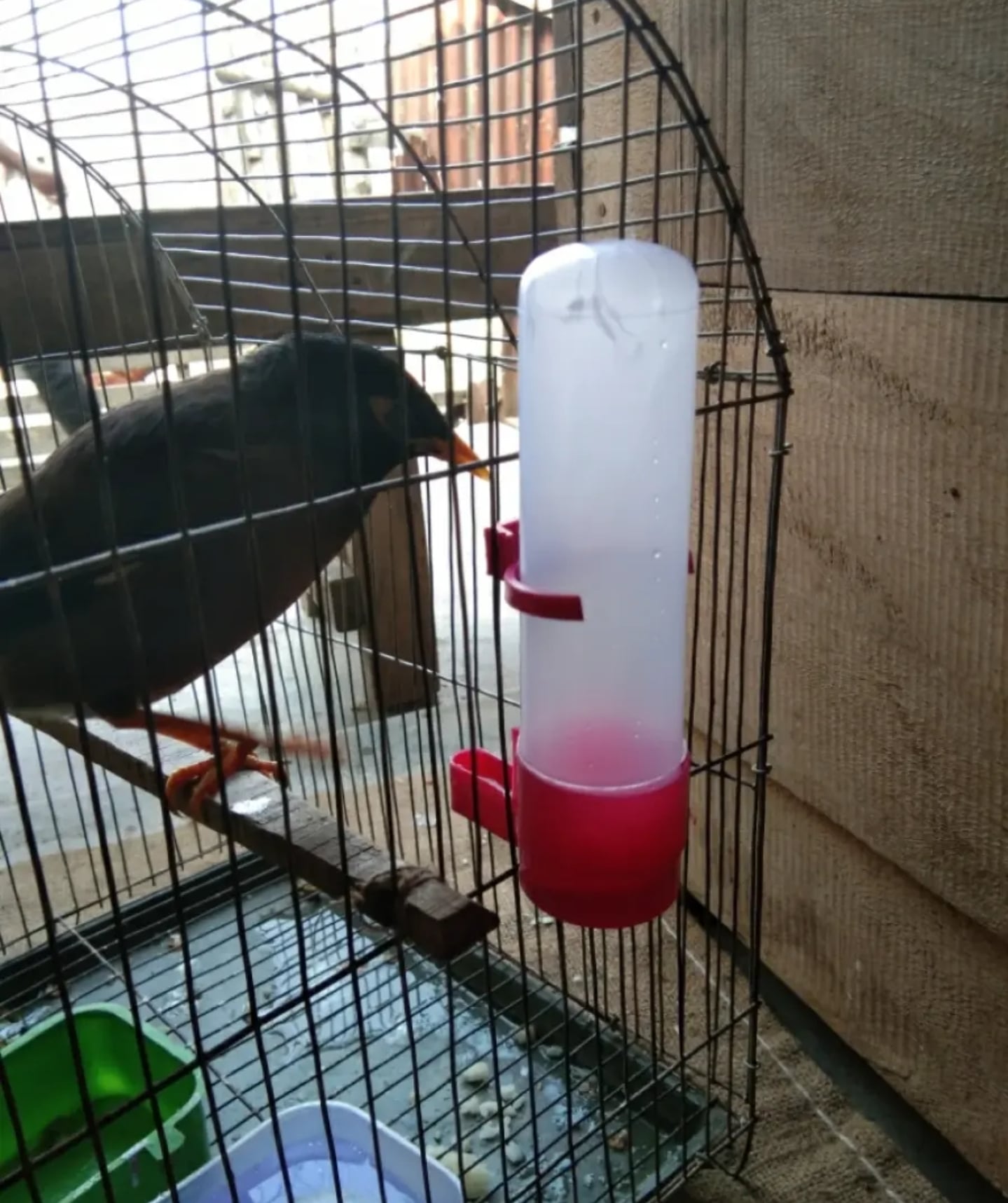 Picture of 5pcs 140ml Bird water pot Pet Drinker Feeder Waterer Clip for Aviary Budgie Cockatiel Lovebird farming equipment