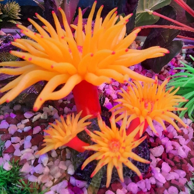 Picture of New Model Big Size Aquarium Decoration Plant Made in China