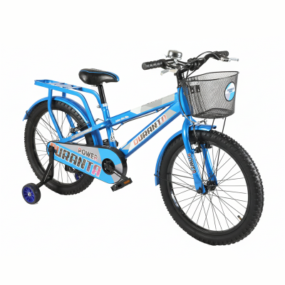 Picture of Duranta Steel 1 Speed Power 20 inch Blue Bicycle