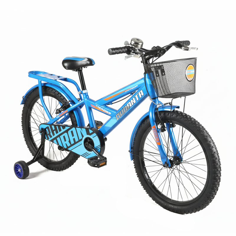 Picture of Duranta Steel 1 Speed Thunder 20 inch Blue Bicycle