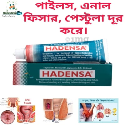Picture of Indian Hadensa Ointment For Piles - 20gm