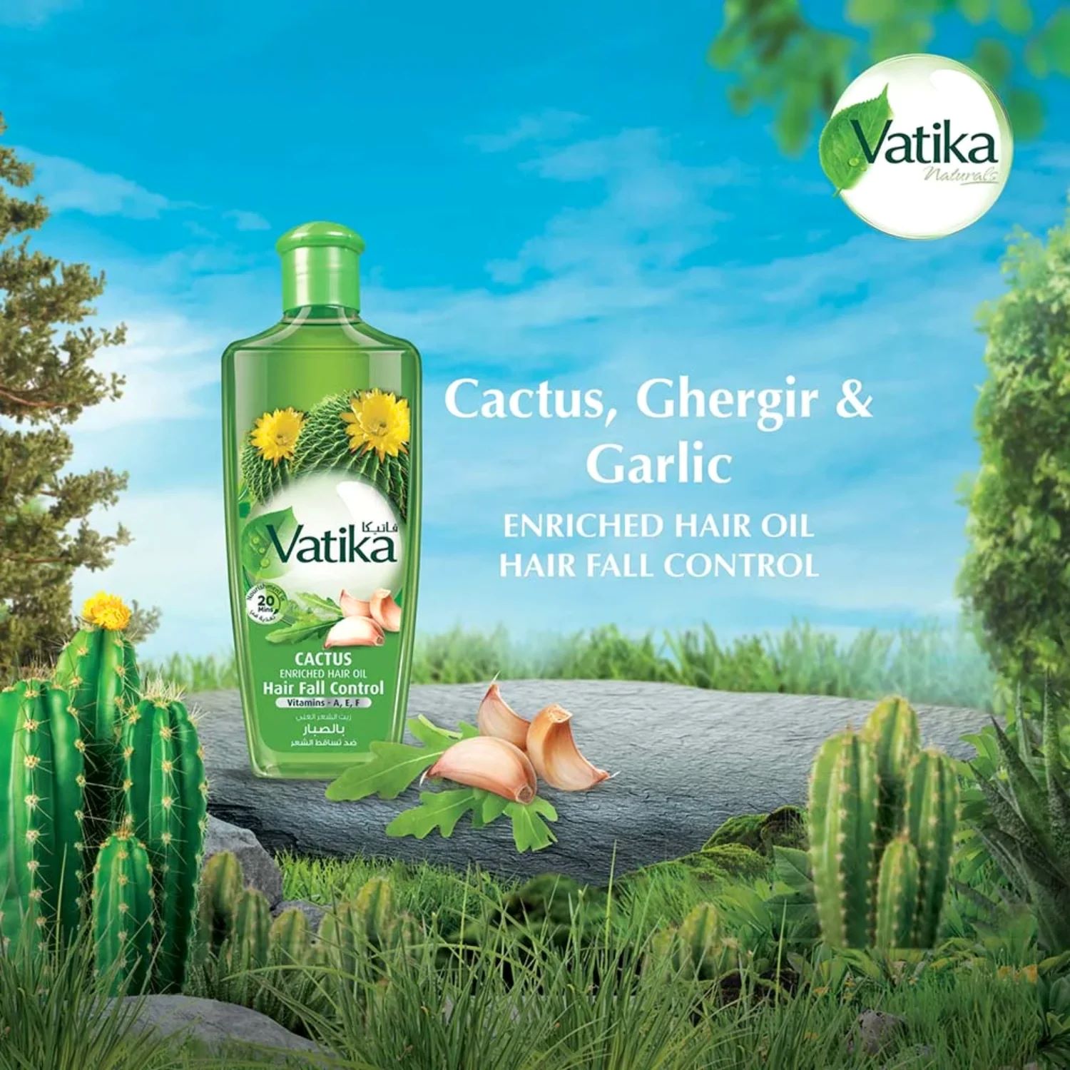 Picture of International UAE product Vatika Cactus Enriched Hair Oil Hair Fall Control - 300 ml