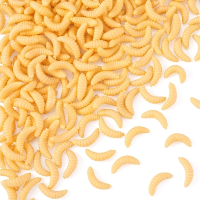 Picture of Grape Bug Maggot Worm Native 50pcs Set Creamy Color Glow in the Dark Clear Black Bass Trout Chin Yamame Area Management Fishing Rivers Stream Black Bass Fishing Bass Fishing Lake Dam Bluegill Carp