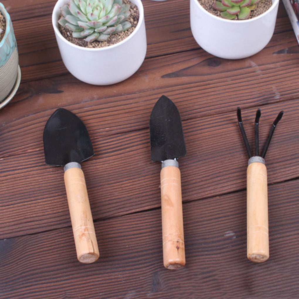 Picture of MusaMart Mini 3pcs Garden Tools Set for Garden Plants Pot Cactus Vegetables Digging Weeding Indoor.