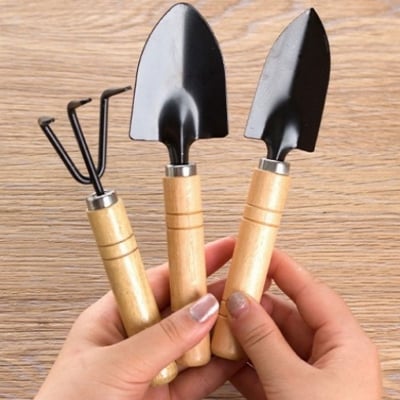 Picture of MusaMart Mini 3pcs Garden Tools Set for Garden Plants Pot Cactus Vegetables Digging Weeding Indoor.
