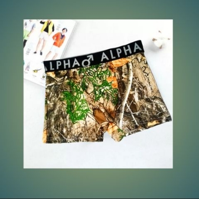 Picture of New China Stylist Men's Boxer Briefs Underwear - Random Design