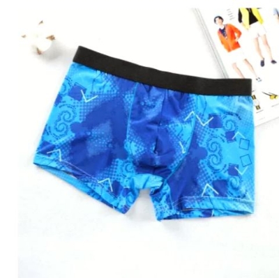 Picture of New China Stylist Men's Boxer Briefs Underwear - Random Design