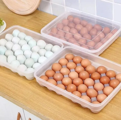 Picture of 34-Grid Single Layer Egg Storage Container with Lid | Refrigerator Organizer - Multicolor