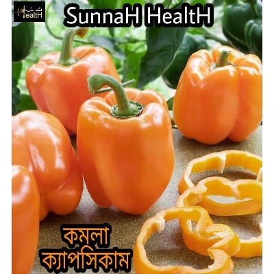 Picture of Capsicum Seeds/Multicolor/Orange/Green/Violet/Yellow - 15pcs
