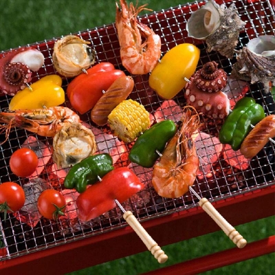 Picture of Barbeque Grill Steel Needles