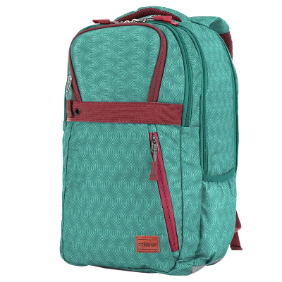 Picture of American Tourister  STRATA BP 2 